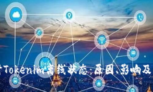 深入探讨Tokenim离线状态：原因、影响及解决方案
