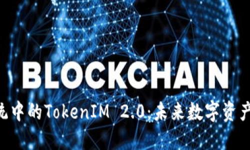 内容和关键词

Matic生态系统中的TokenIM 2.0：未来数字资产管理的新标准