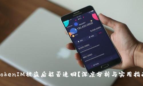 TokenIM被盗后能否追回？深度分析与实用指南