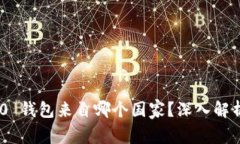 Tokenim 2.0 钱包来自哪个国家？深入解析与使用指