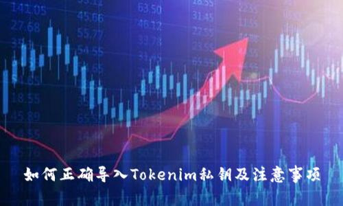 如何正确导入Tokenim私钥及注意事项