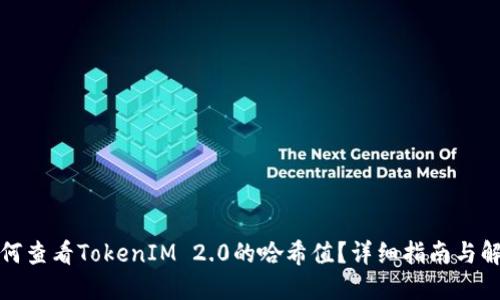 如何查看TokenIM 2.0的哈希值？详细指南与解答