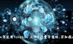如何使用Tokenim 2.0进行量子转账：详细指南