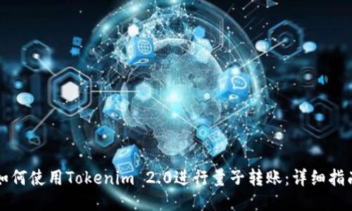 如何使用Tokenim 2.0进行量子转账：详细指南
