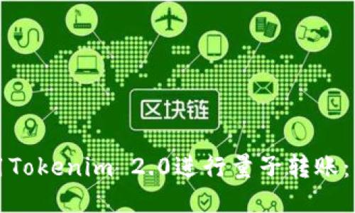 如何使用Tokenim 2.0进行量子转账：详细指南
