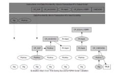 : TokenIM 2.0转币延迟打包原因解析与解决方案