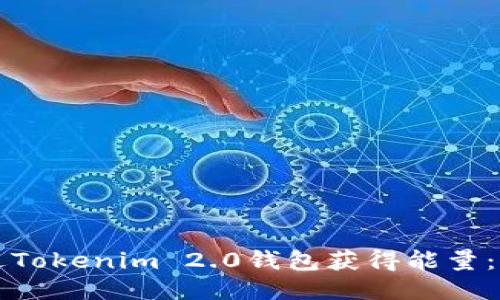 如何通过Tokenim 2.0钱包获得能量：全面指南