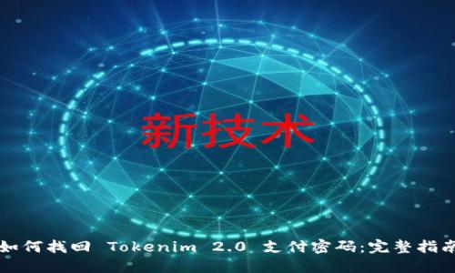 如何找回 Tokenim 2.0 支付密码：完整指南