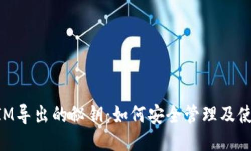 TokenIM导出的秘钥：如何安全管理及使用指南