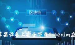 如何在苹果设备上安全下载Tokenim应用程序？