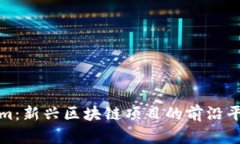 Tokenim：新兴区块链项目的前沿平台解析