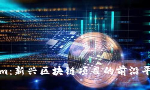 Tokenim：新兴区块链项目的前沿平台解析