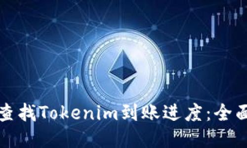 如何查找Tokenim到账进度：全面指南