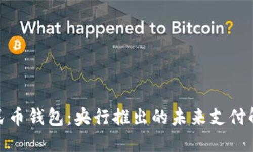 数字人民币钱包：央行推出的未来支付解决方案