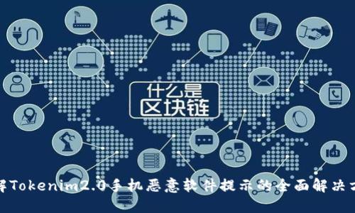 破解Tokenim2.0手机恶意软件提示的全面解决方案