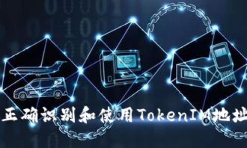 如何正确识别和使用TokenIM地址格式