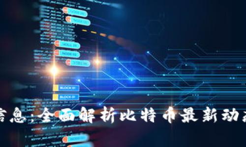 比特币实时信息：全面解析比特币最新动态与投资策略