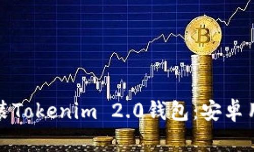 如何下载和安装Tokenim 2.0钱包：安卓用户的详细教程