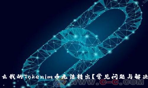 为什么我的Tokenim币无法转出？常见问题与解决方法