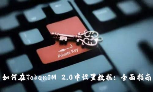 如何在TokenIM 2.0中设置数据: 全面指南