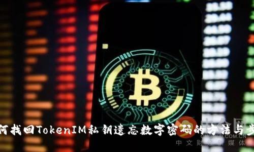 如何找回TokenIM私钥遗忘数字密码的方法与步骤