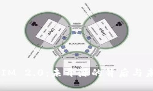  TokenIM 2.0：未开源的背后与未来展望