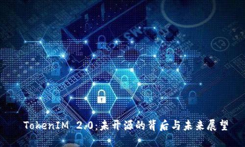  TokenIM 2.0：未开源的背后与未来展望