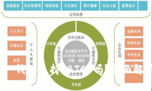 Tokenim 2.0 钱包支持 BTC 吗？全面解析与使用指南