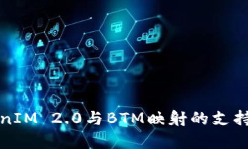 TokenIM 2.0与BTM映射的支持分析