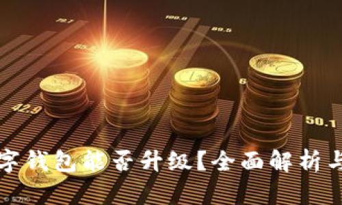 最低限数字钱包能否升级?全面解析与未来展望