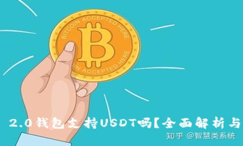 Tokenim 2.0钱包支持USDT吗?全面解析与功能介绍