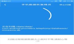 揭秘数字钱包运营骗局：真实案例与预