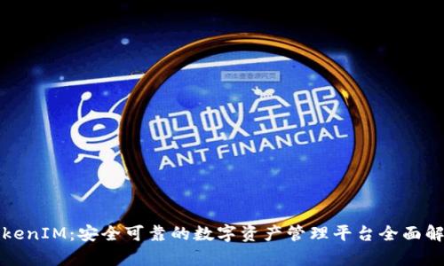 TokenIM:安全可靠的数字资产管理平台全面解析