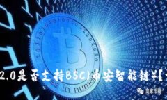 TokenIM 2.0是否支持BSC（币安智能链）？