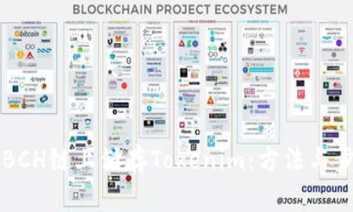怎样在BCH链上储存Tokenim:方法与步骤解析