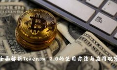 全面解析Tokenim 2.0的使用方法与应用观