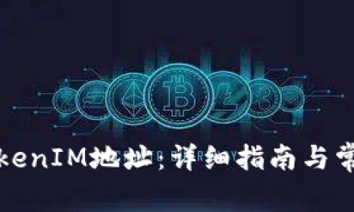 如何查询TokenIM地址：详细指南与常见问题解答