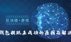 数字钱包提现未成功的原因及解决方案