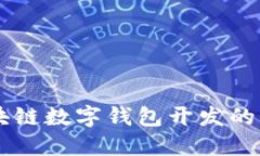 Java区块链数字钱包开发的全面指南