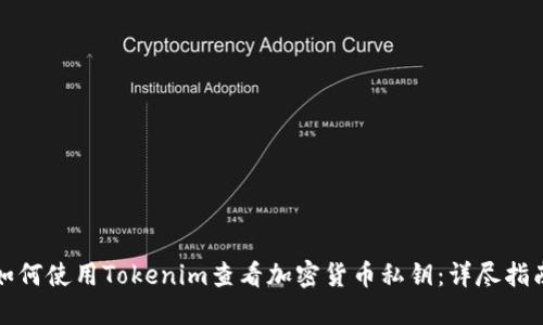 如何使用Tokenim查看加密货币私钥:详尽指南