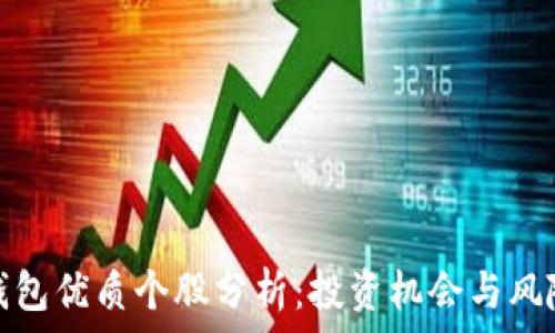 数字钱包优质个股分析:投资机会与风险评估