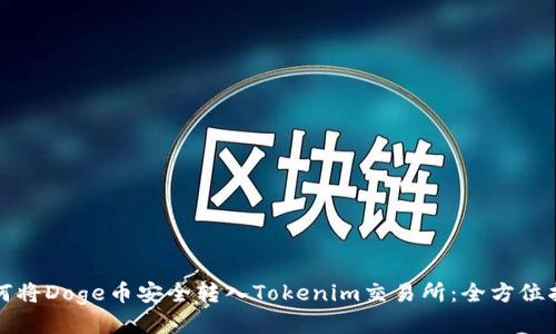 如何将Doge币安全转入Tokenim交易所:全方位指南