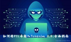 如何将FIL币转入Tokenim 2.0：全面指南
