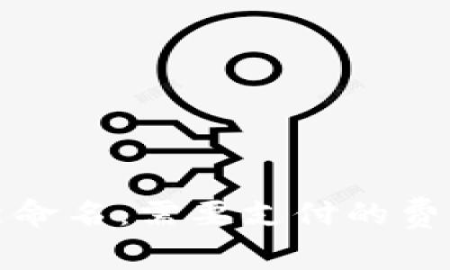 数字钱包重新命名:需要支付的费用与法律考量