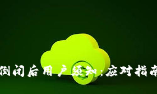 区块链钱包倒闭后用户须知:应对指南与实用建议