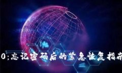 Tokenim 2.0：忘记密码后的紧急恢复指南