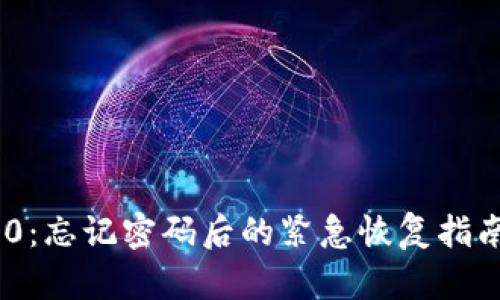 Tokenim 2.0：忘记密码后的紧急恢复指南与实用技巧