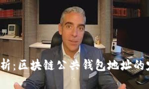 2023年全面解析:区块链公共钱包地址的定义与实用指南