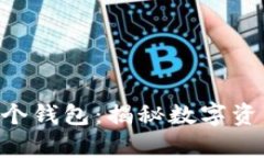 一个Token可以拥有多个钱包：揭秘数字
