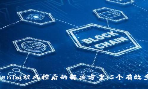 Tokenim被风控后的解决方案:5个有效步骤
